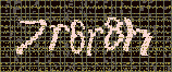 CAPTCHA_picture