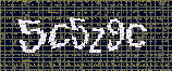 CAPTCHA_picture